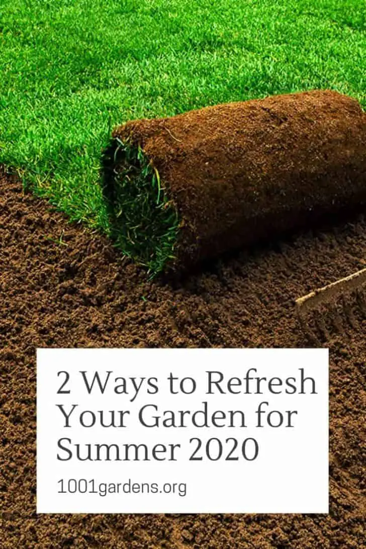 2 Ways to Refresh Your Garden for Summer 2023 1 - lawncare